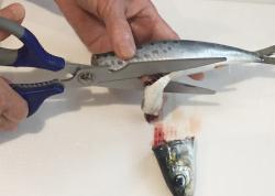 Kéo đa năng nhà bếp Nikken #25cm_6